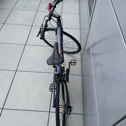 Giant Road Bike 