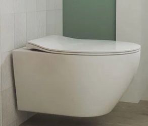 Elongated Wall Hung Toilet Included Seat