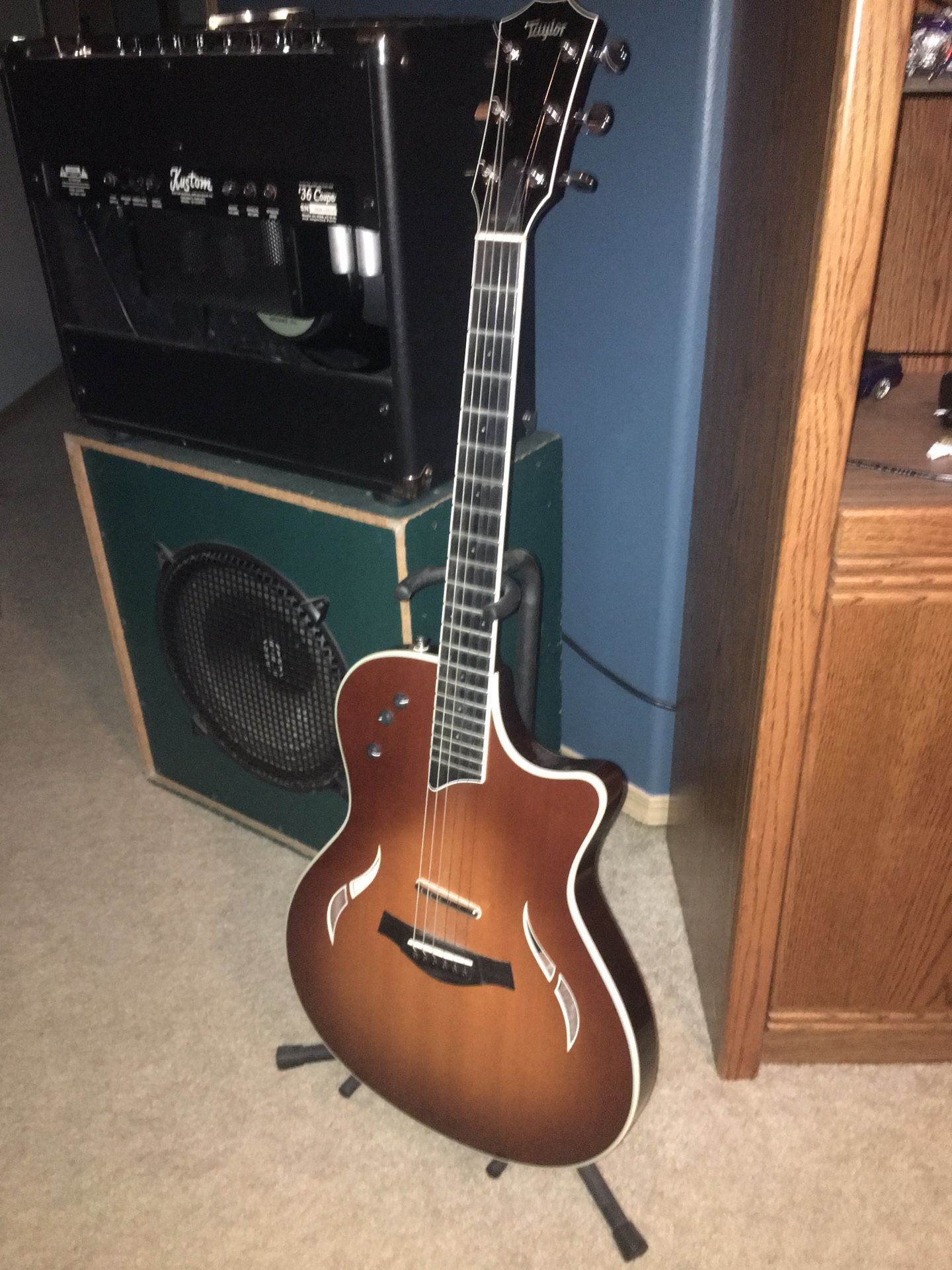 Taylor T5-S