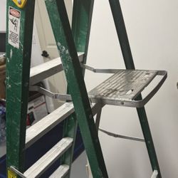 Davidson 6-foot Fiberglass Step Ladder