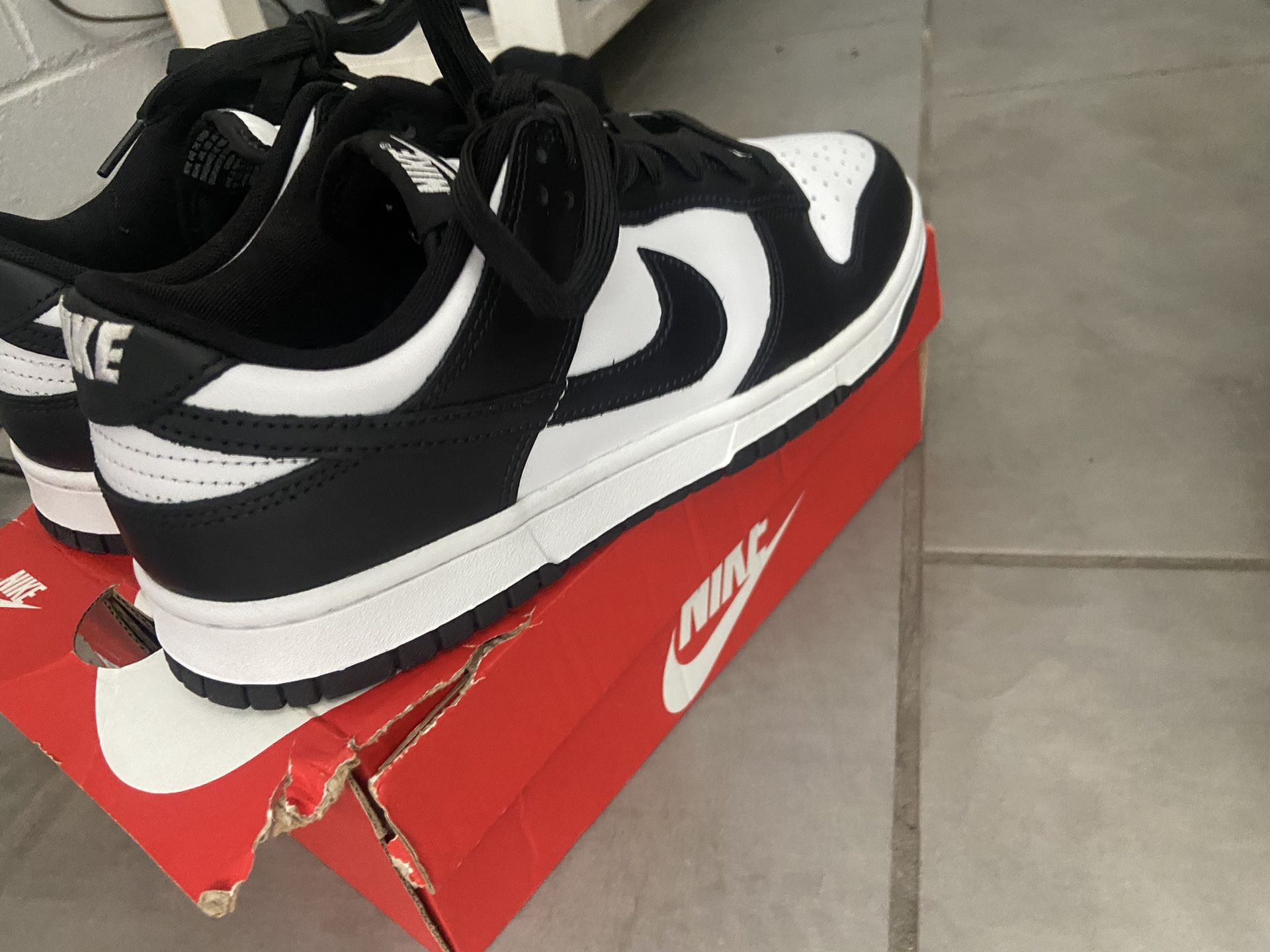 Nike Air Dunks