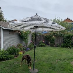 Patio Umbrella, Stand & Light (Not The Dog!)