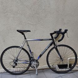 Trek 1000 Road Bike 
