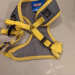 Batman Vest For Small Dog