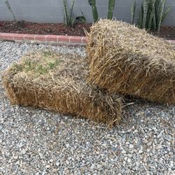Free Hay In Downey 