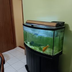 Fish Tank