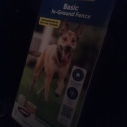 New Dog Collar With Fence Stopper 