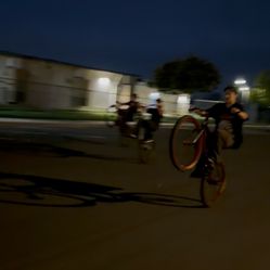 29er Throne Willy bike