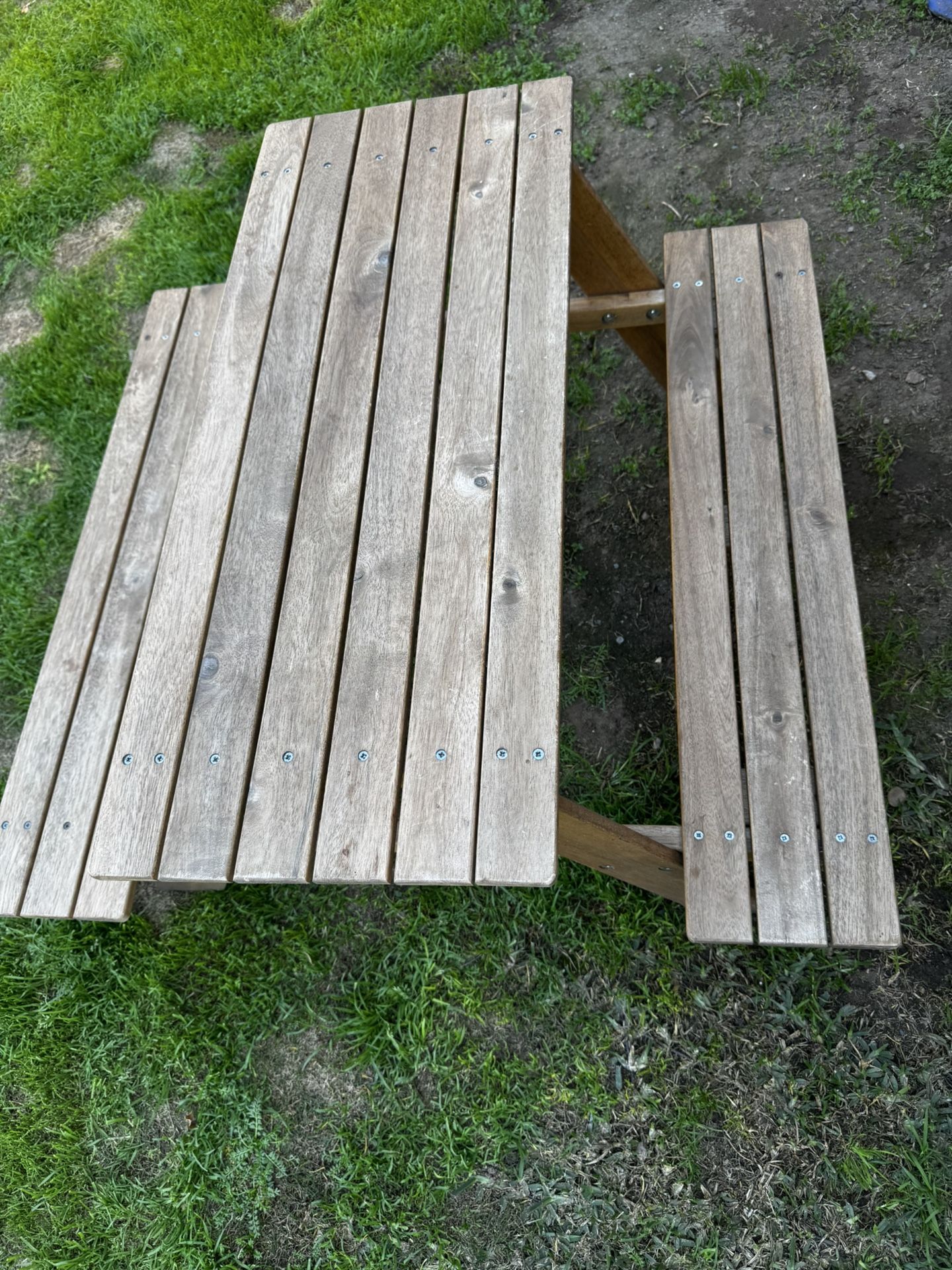 Kids Picnic Table