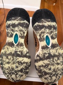 LeBron nobility 21
