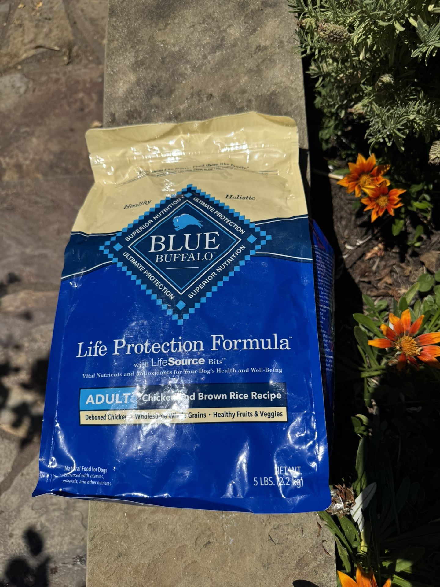 Blue, Buffalo Dog, food