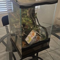 Terrarium Used For Chameleon 