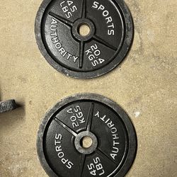 45lbs barbell weights