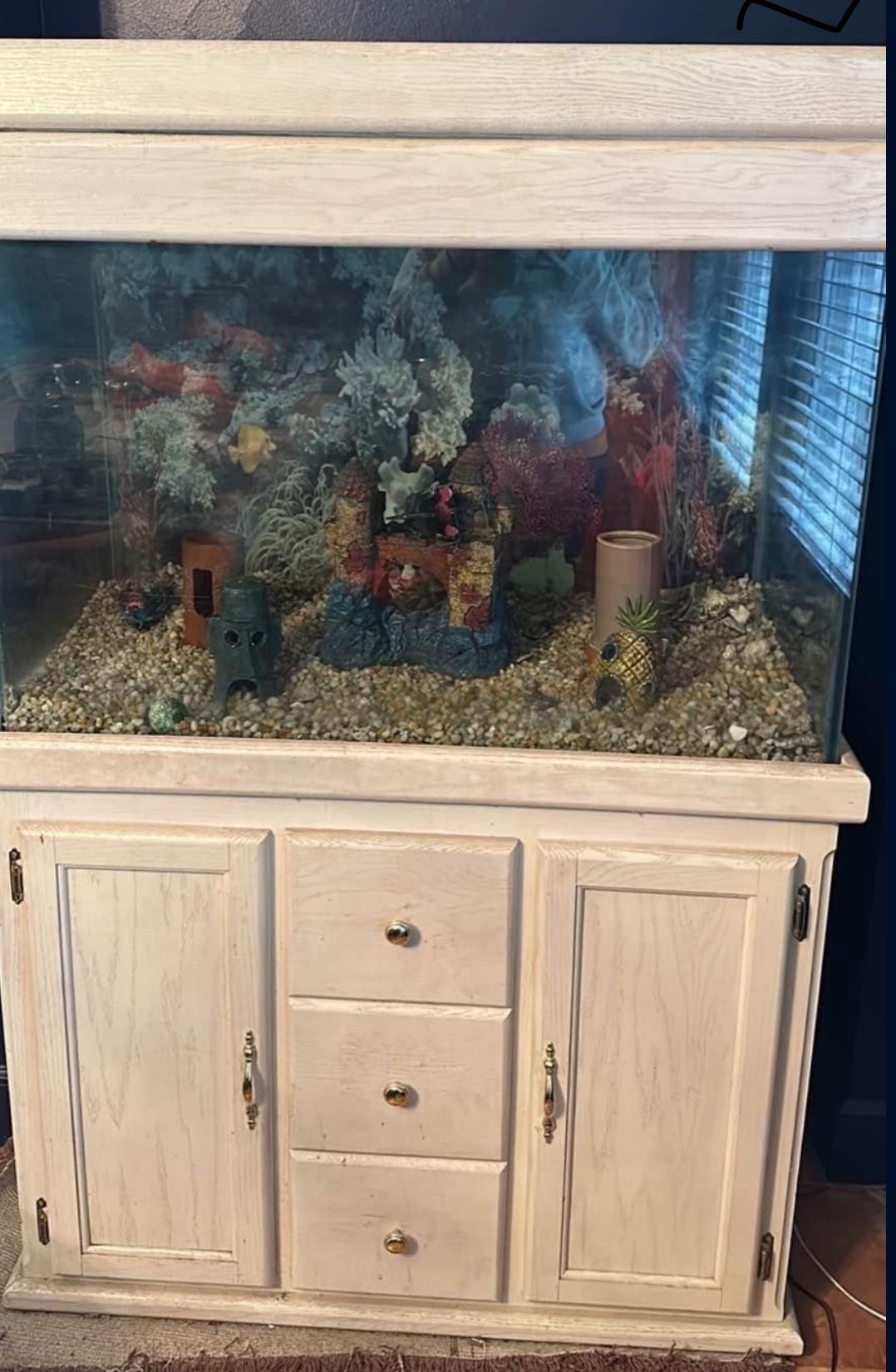 Fish Tank 