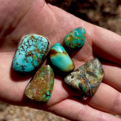 Turquoise Cabochons 