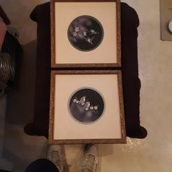 Art, Set Of 2. Sharon Wald Scratchboards.