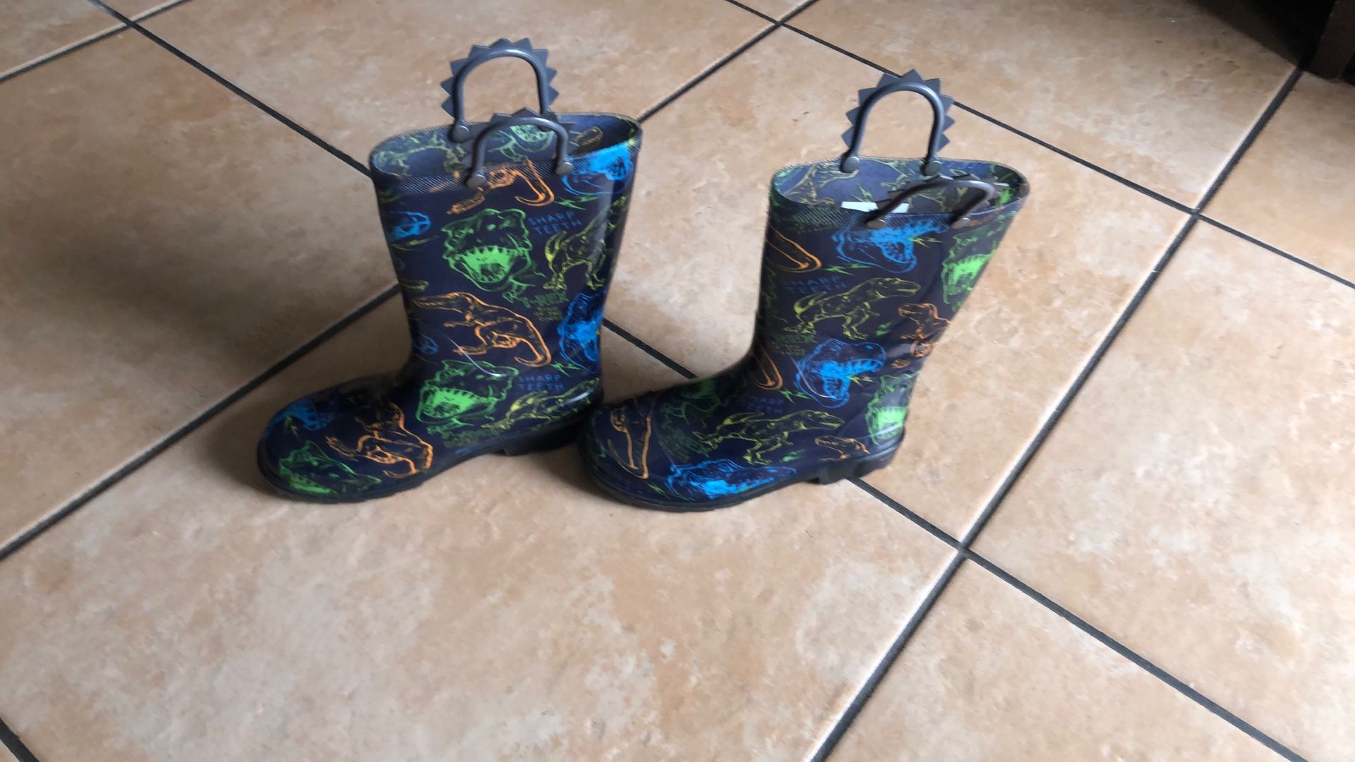 Dinosaurios Raining Boots With Ligths 