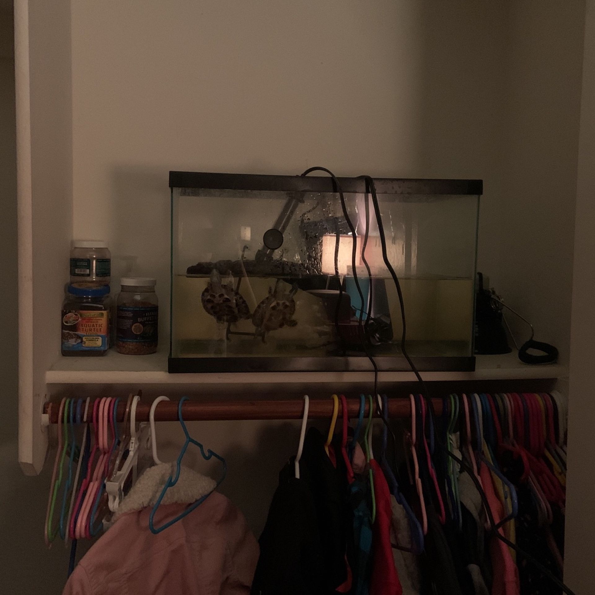 Turtle Cage And Accessories