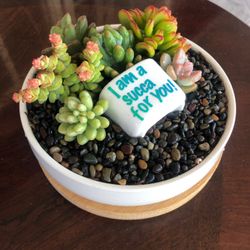 Succulent Bowl Custom Made With Bamboo Tray