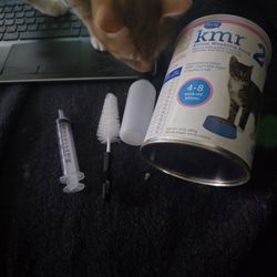 Free Kitten Formula And Bottle