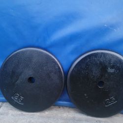25lbs Weights 