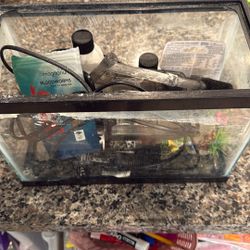 Fish Tank 