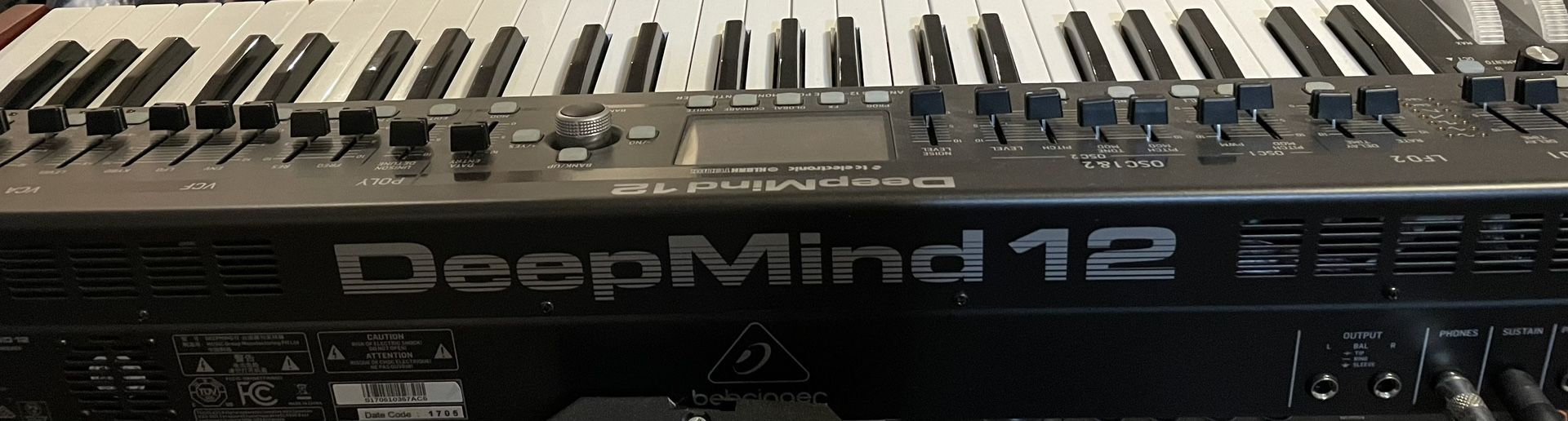 Behringer Deepmind 12 Synth