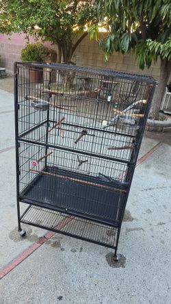 Bird Cage