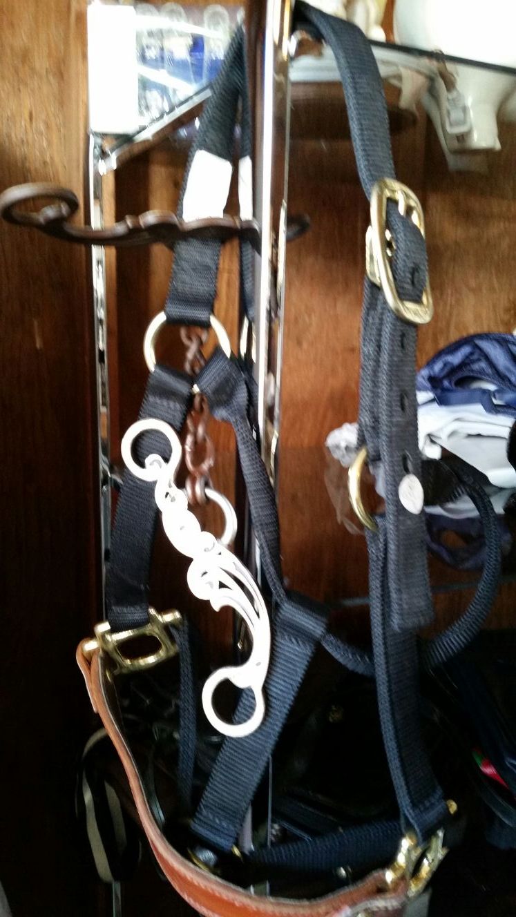 Horse Tack, Leather Halter And Decorative Mouth Bit