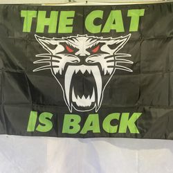 Arctic Cat Wall Flag (3’x5’)