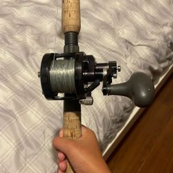 Avet Mxj 2 Speed 