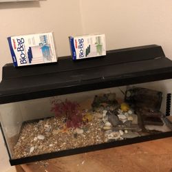 20 Gallon Fish Tank With Everything Needed 