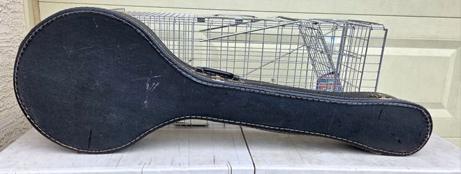 Banjo Hard Case Black Vinyl - North Glendale
