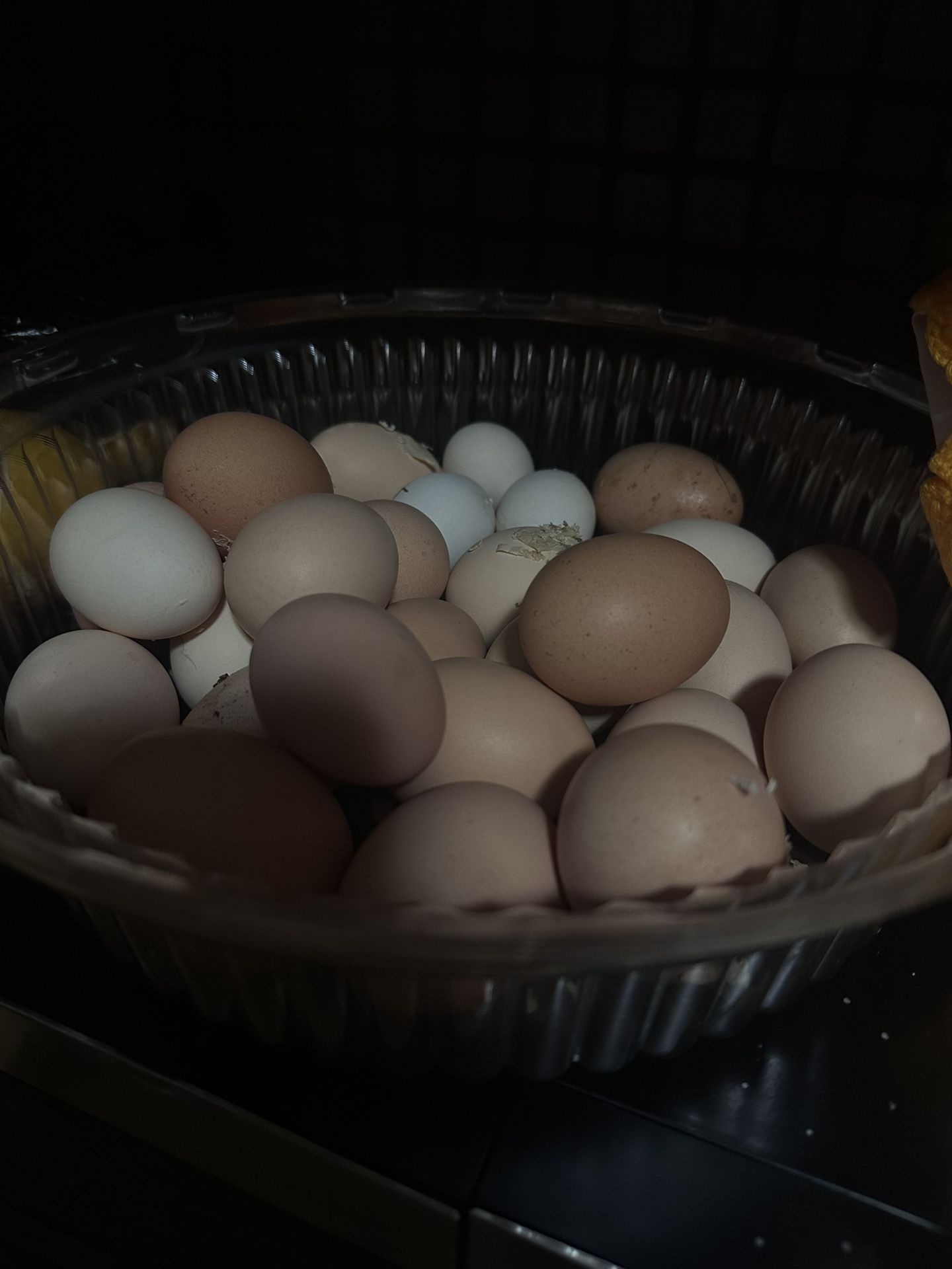 Chicken Eggs