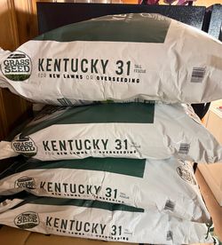 Pennington Kentucky 31 Tall Fescue Grass Seed