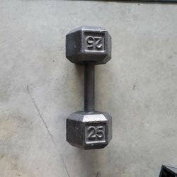25lb Dumbell