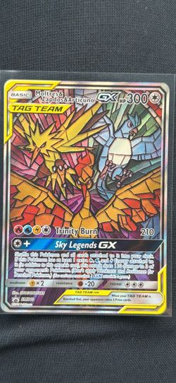 Tag team stained glass Moltres&Zapdos&Articuno
