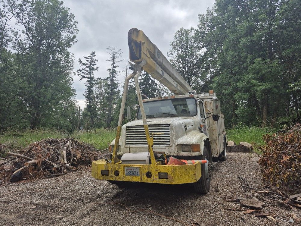 1989 International Navistar