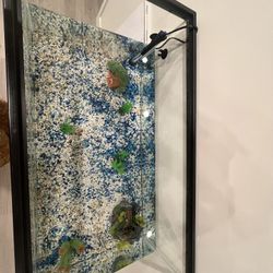 Aquarium 