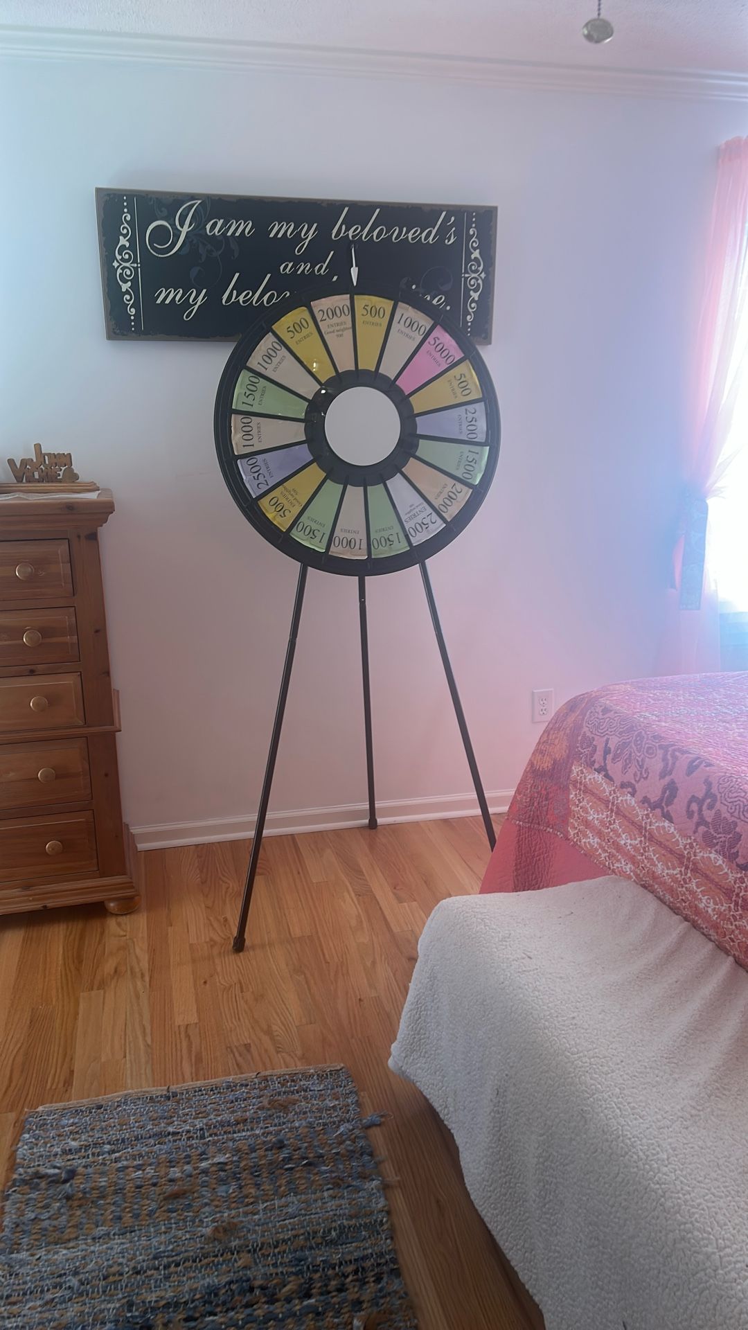 Professional Grade Spinning Prize Wheel
