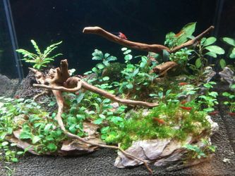 Aquarium supplies
