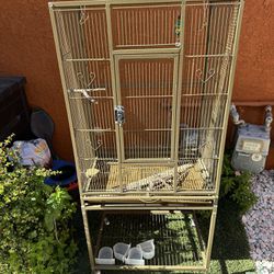 Bird Cage Large 