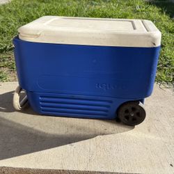 Igloo Wheelie 38-Quart Cooler