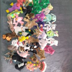 Beanie Babies