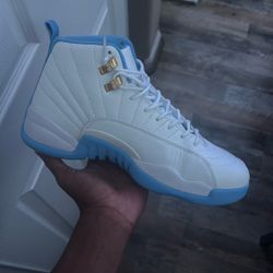 jordan 12