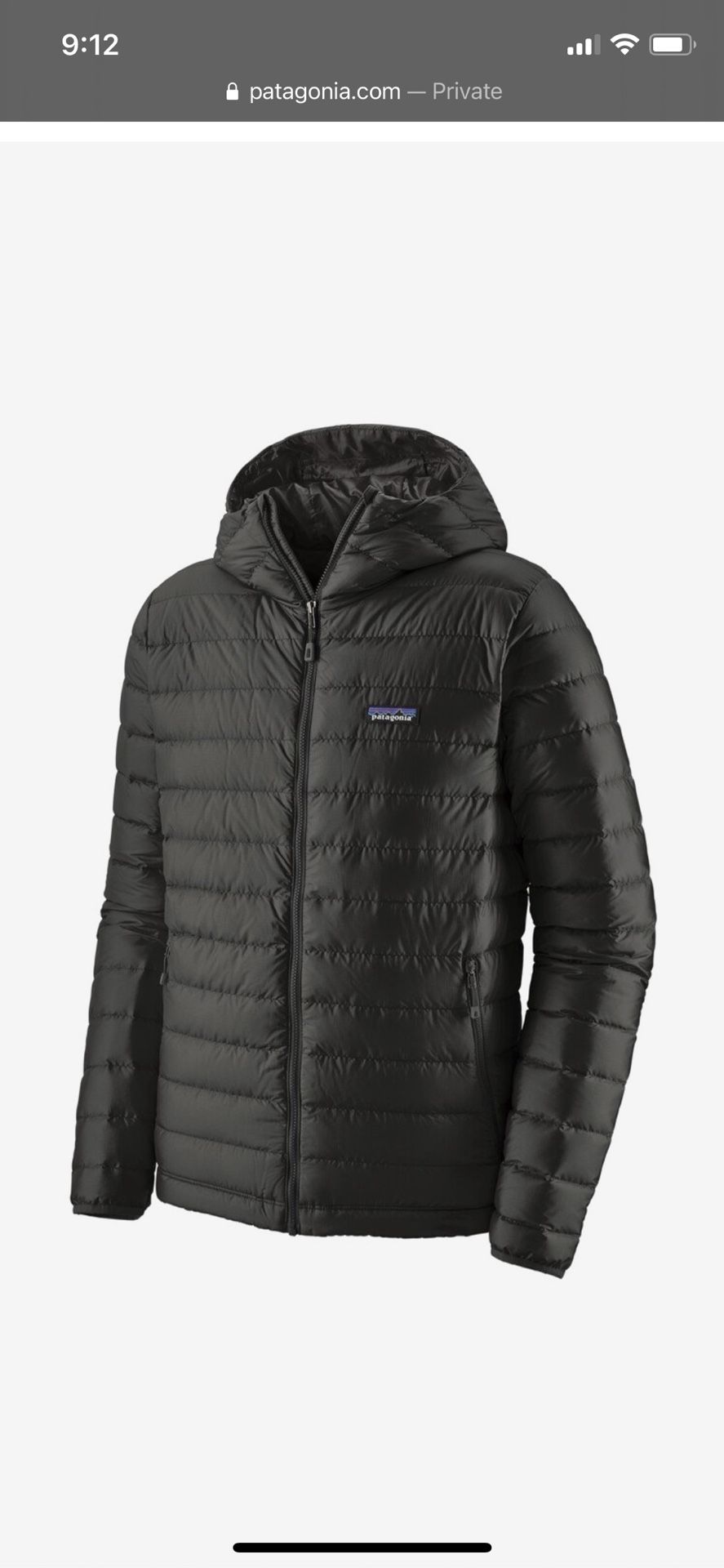 Patagonia Men’s Black Puffer Hoodie Jacket 