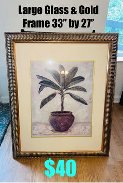 $40 Elegant Large Wall decor glass and gold frame 33” by 27” in great condition