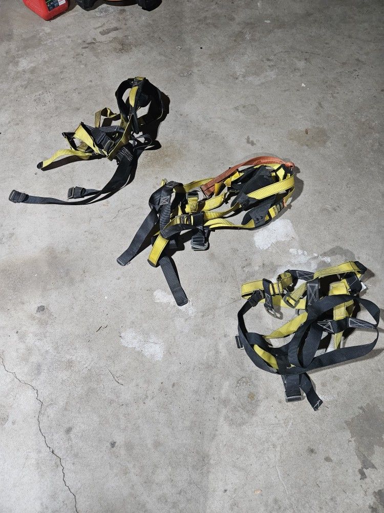 Fall Protection Harness