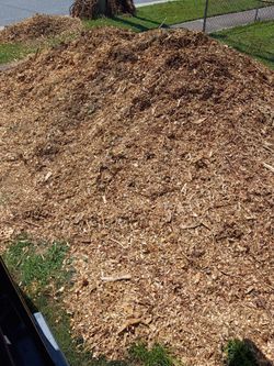 Free wood chips need gone asap !!
