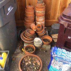 Teracota Pots 